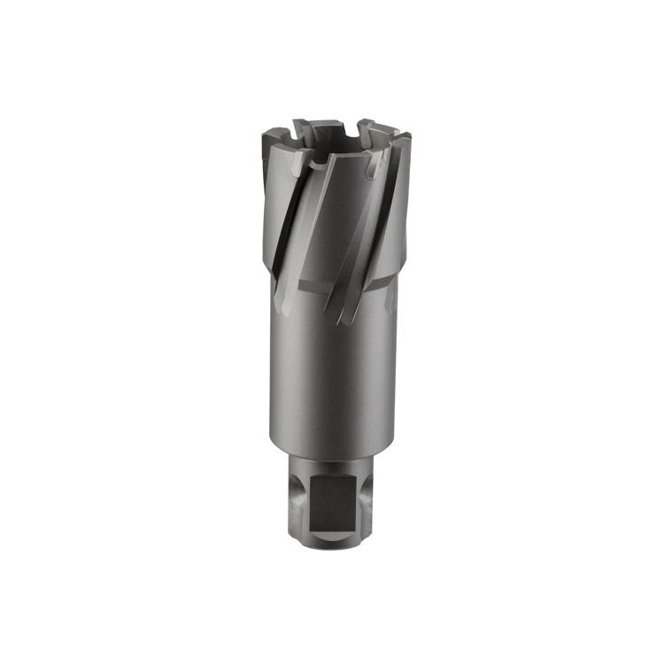 Сверло корончатое твердосплавное ALTECO TCT 22х50